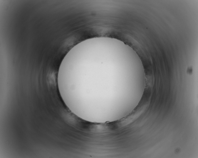 X0000102470286200808221650
