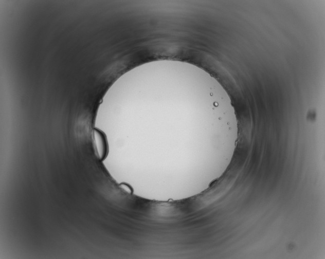 X0000102470287200808221650