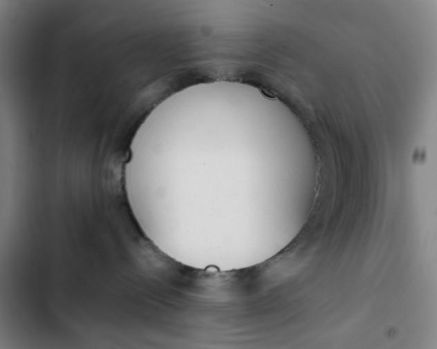 X0000102470288200808221650