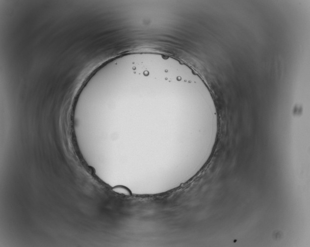 X0000102470289200808221649