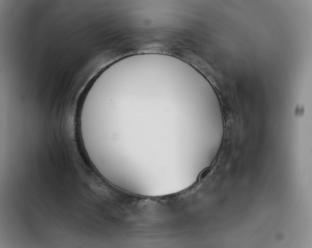 X0000102470290200808221649