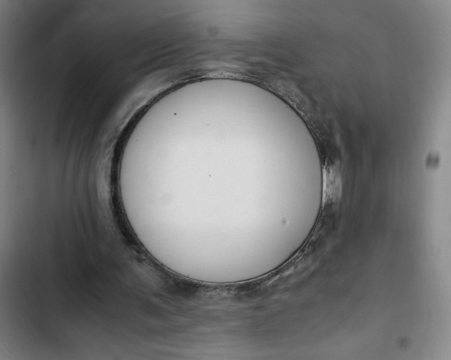 X0000102470291200808221649