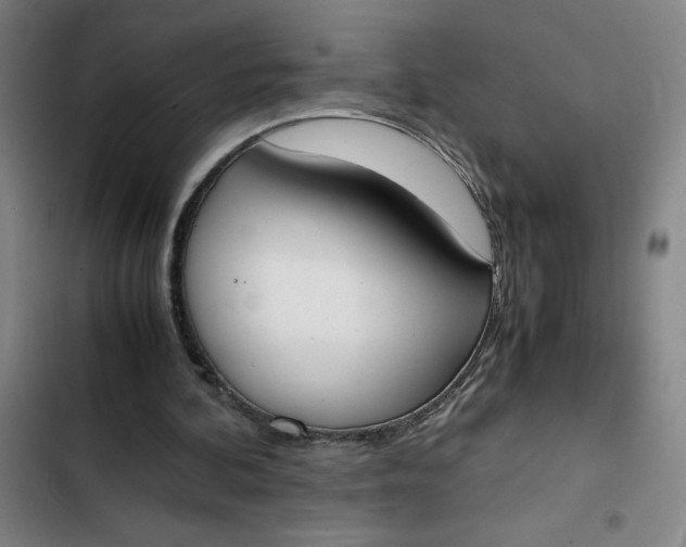 X0000102470292200808221649