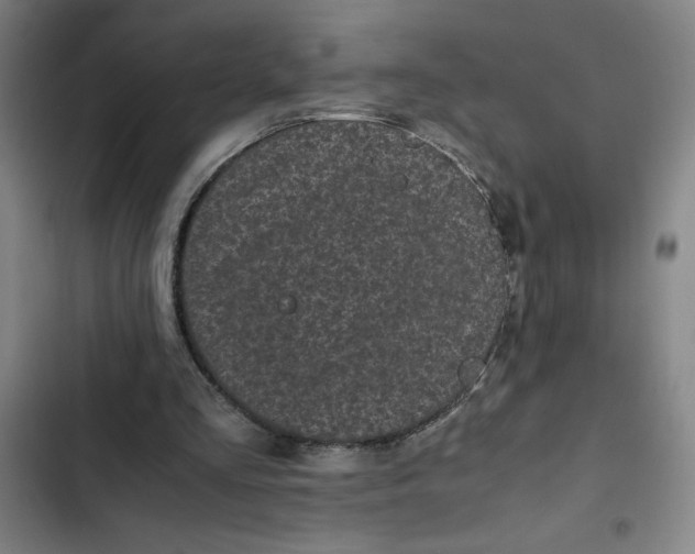 X0000102470293200808221649