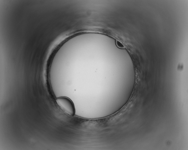 X0000102470294200808221649