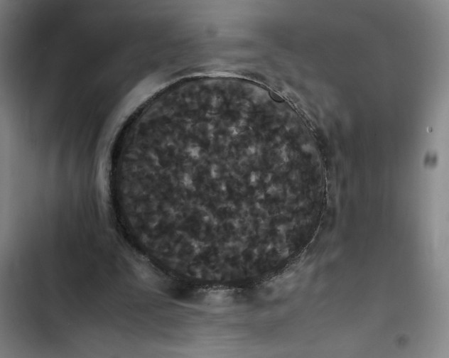 X0000102470295200808221649