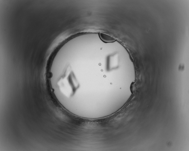 X0000102470296200808221649