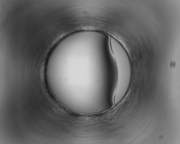X0000102470297200808221649