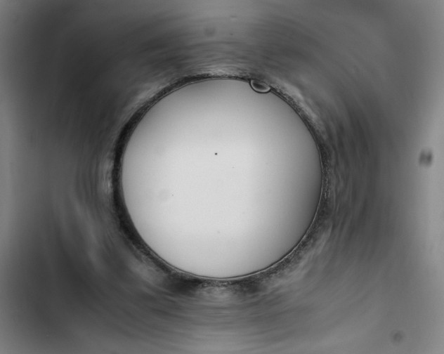 X0000102470299200808221649