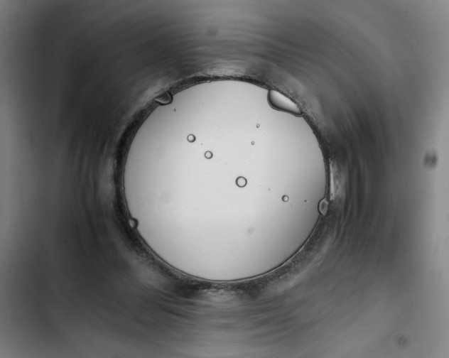 X0000102470300200808221649