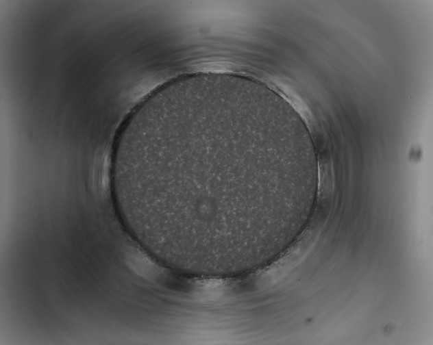 X0000102470301200808221649