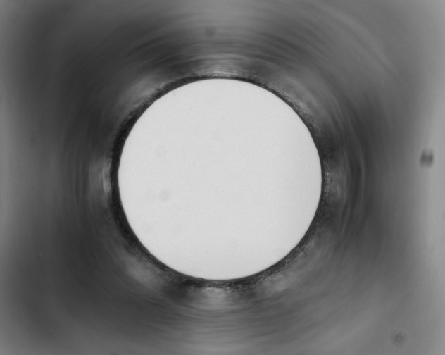 X0000102470302200808221649