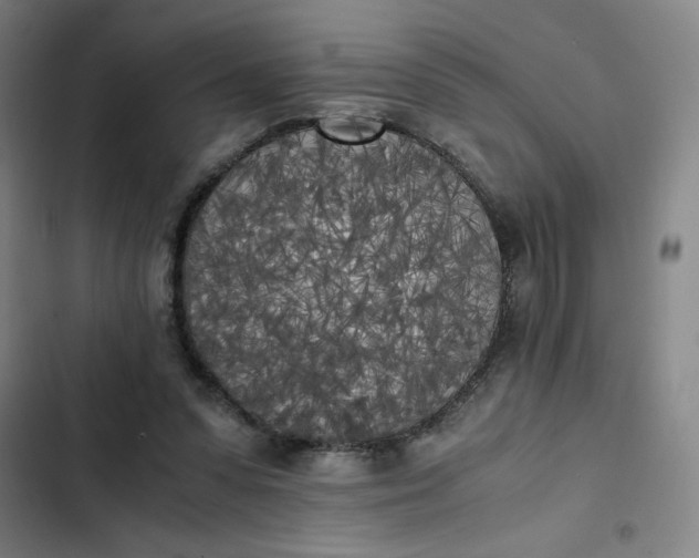 X0000102470303200808221649