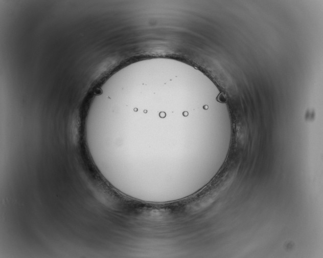X0000102470304200808221649