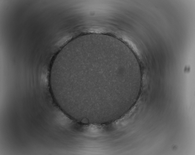 X0000102470305200808221649