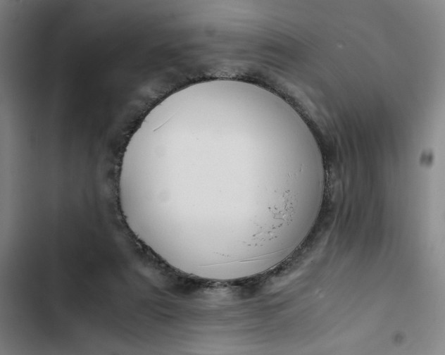 X0000102470307200808221649