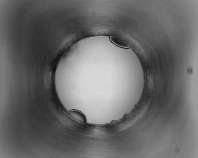X0000102470308200808221649