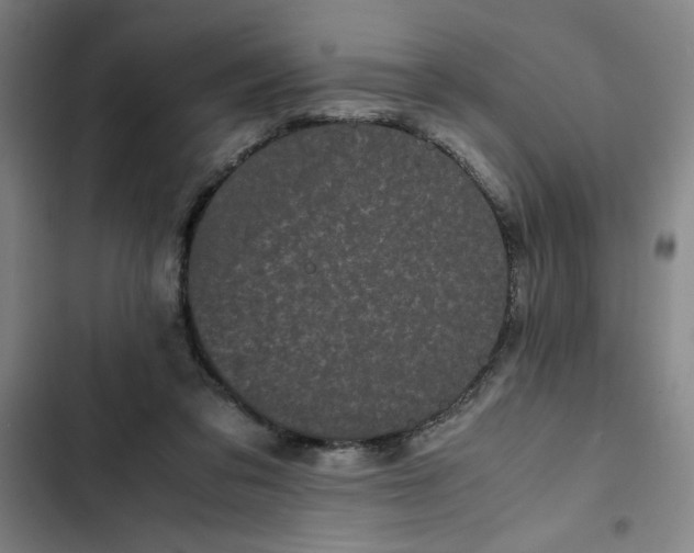 X0000102470309200808221649