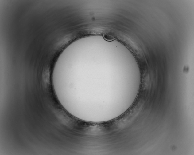 X0000102470310200808221649