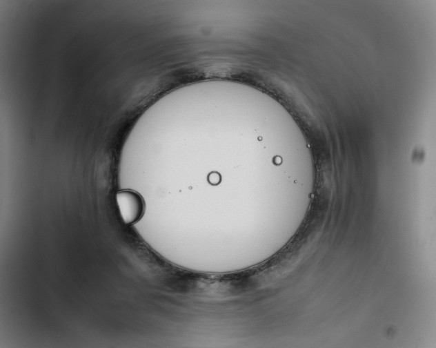 X0000102470311200808221649