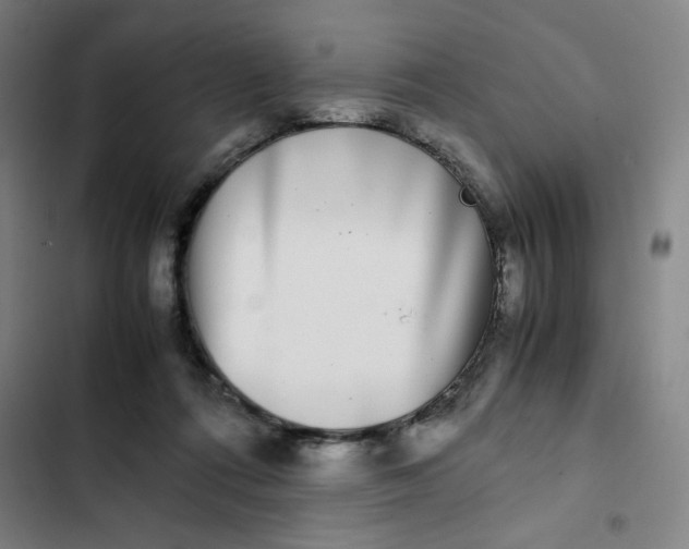X0000102470312200808221649