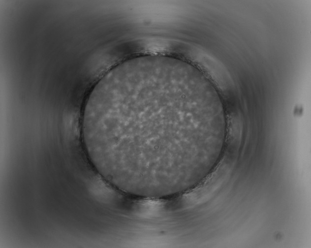 X0000102470313200808221649