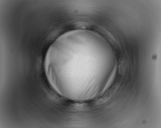 X0000102470314200808221649