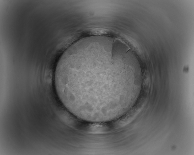 X0000102470315200808221649