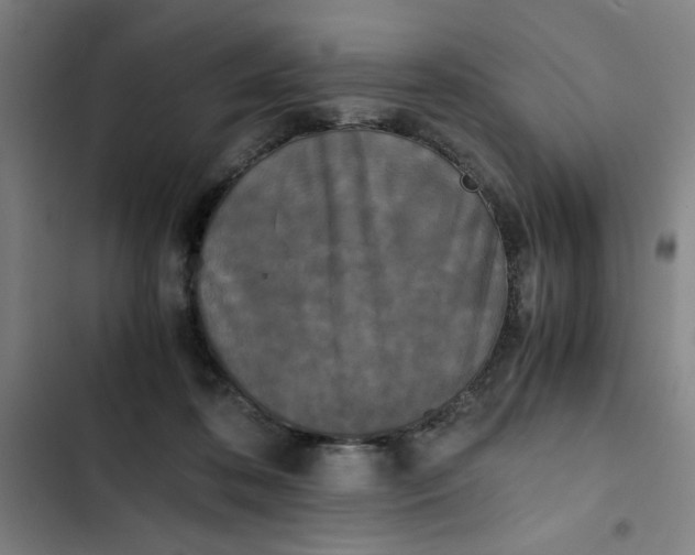 X0000102470316200808221649