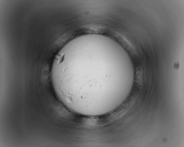 X0000102470318200808221649