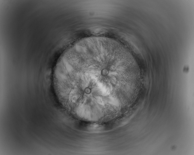 X0000102470319200808221649
