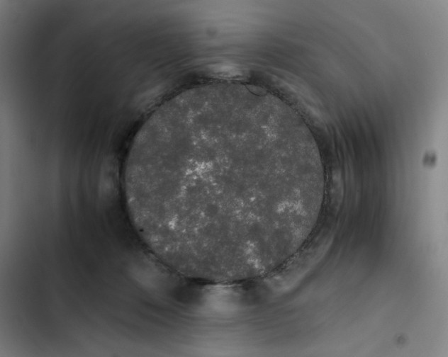 X0000102470320200808221649
