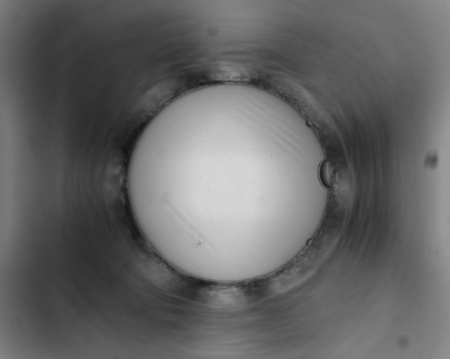 X0000102470322200808221649