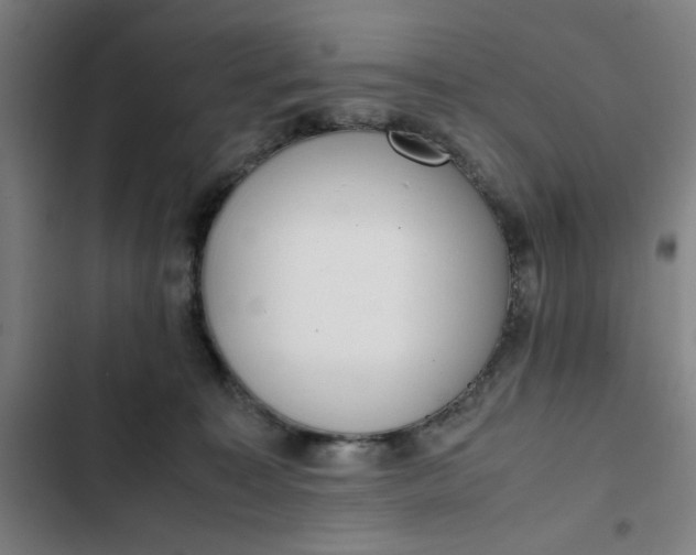 X0000102470323200808221649