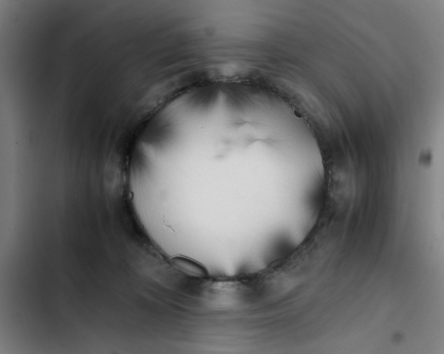 X0000102470324200808221649