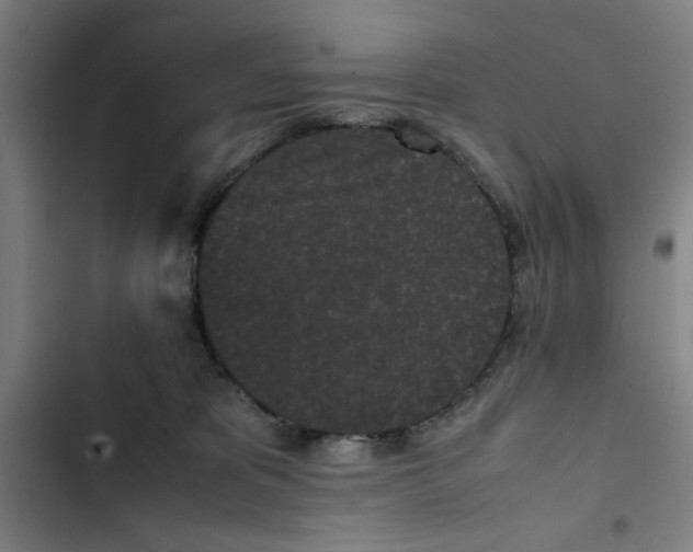 X0000102470325200808221649