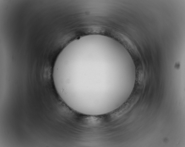 X0000102470326200808221649
