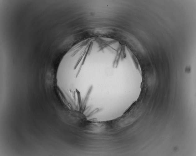 X0000102470328200808221649