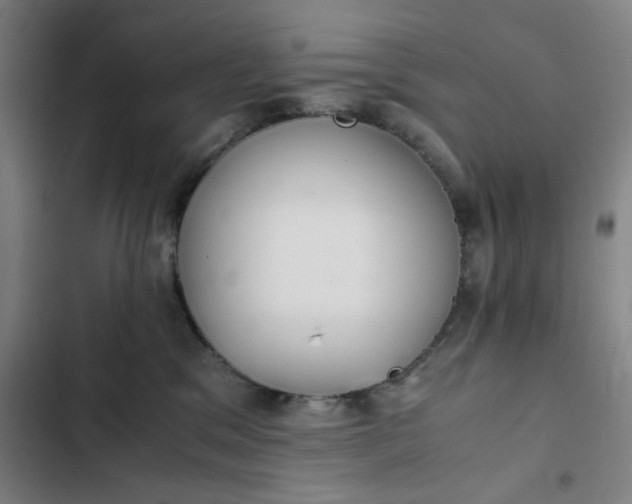 X0000102470329200808221649