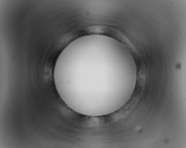 X0000102470330200808221649