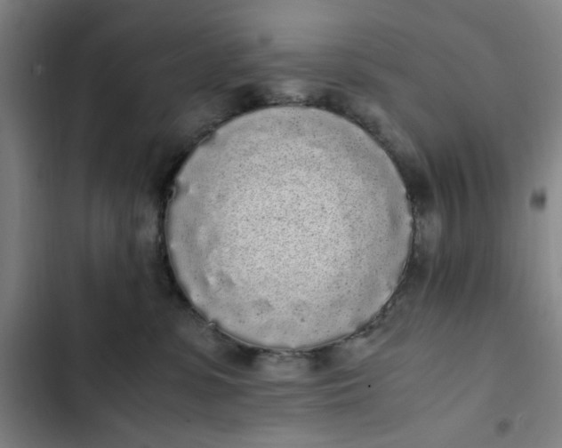 X0000102470331200808221649