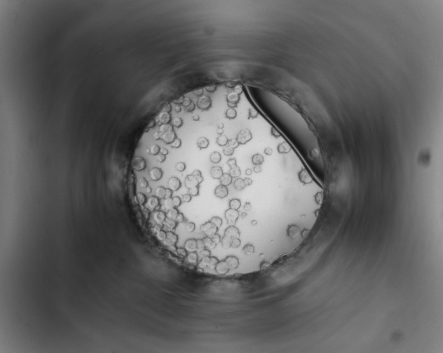 X0000102470332200808221649