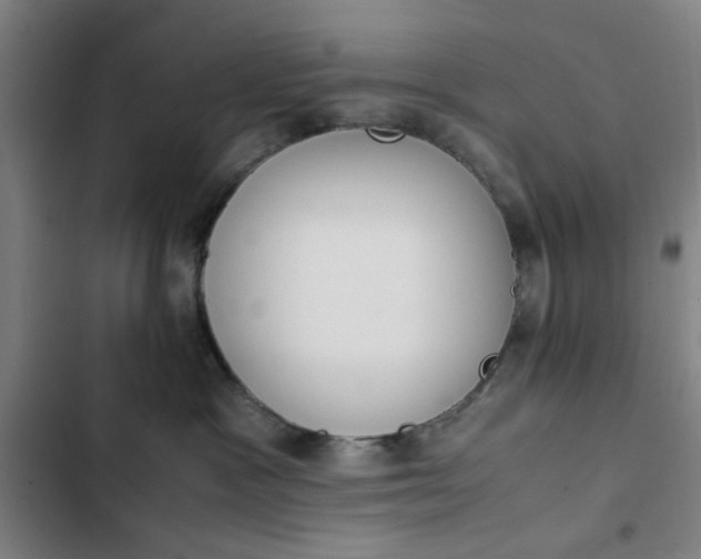 X0000102470333200808221649