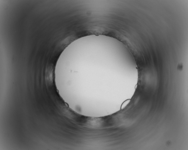 X0000102470334200808221649