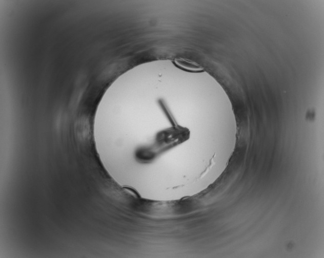 X0000102470335200808221649