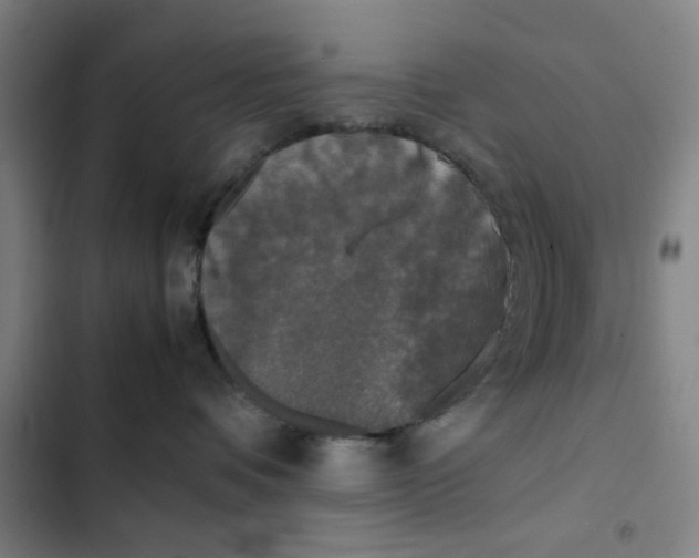 X0000102470336200808221649