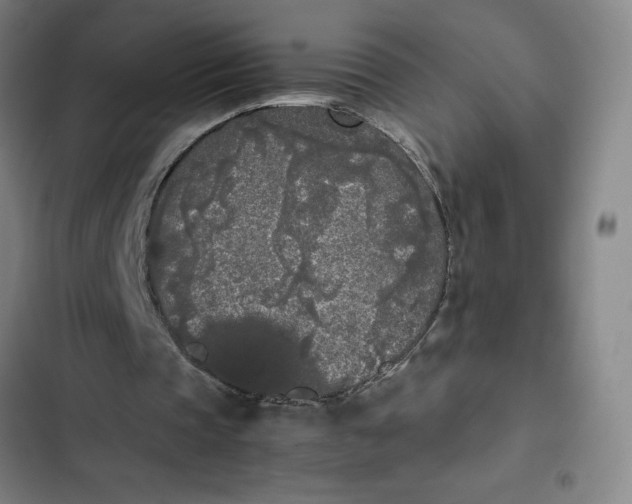 X0000102470337200808221648