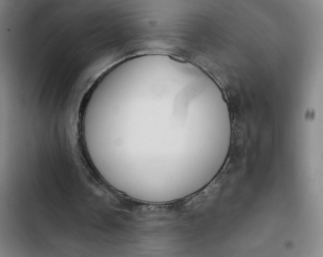 X0000102470338200808221648