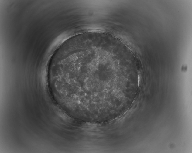 X0000102470339200808221648