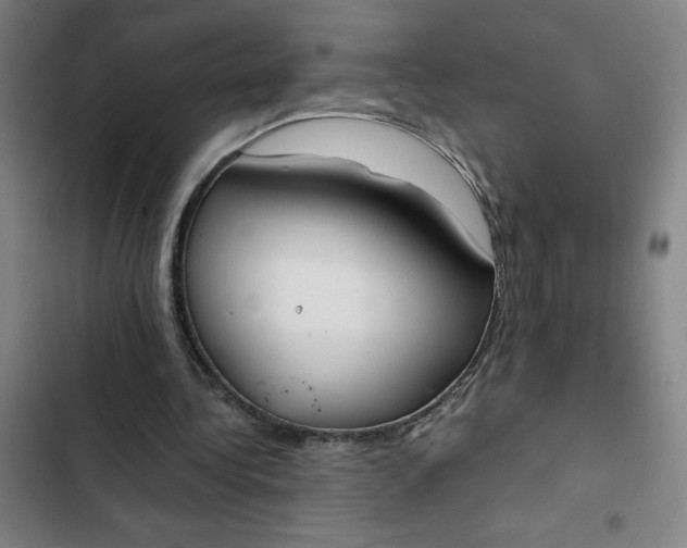 X0000102470340200808221648